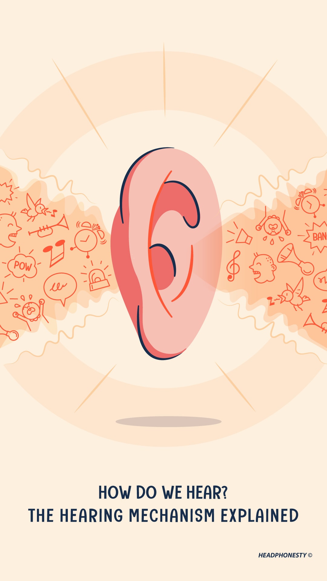 How Do Human Hear Sound  The Hearing Mechanism Explained - 22