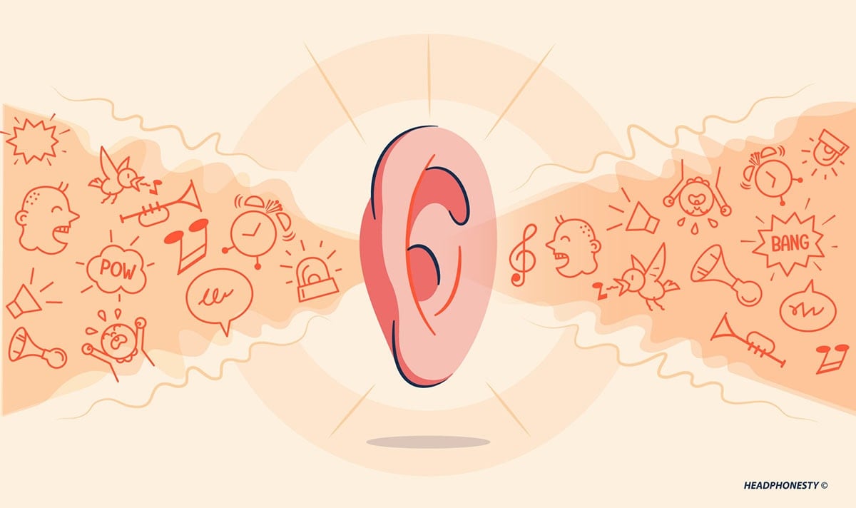 How do human hear
