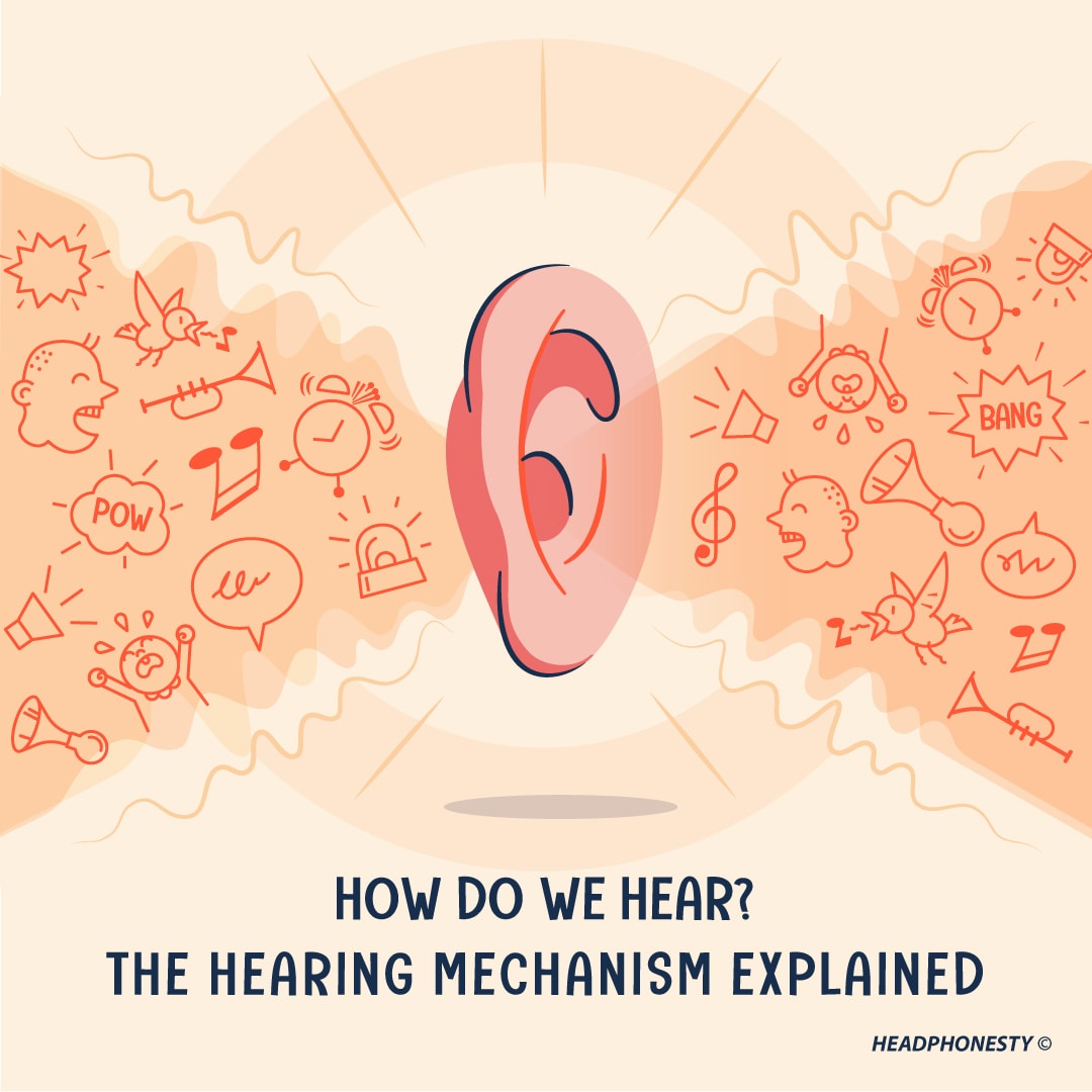 How do we hear