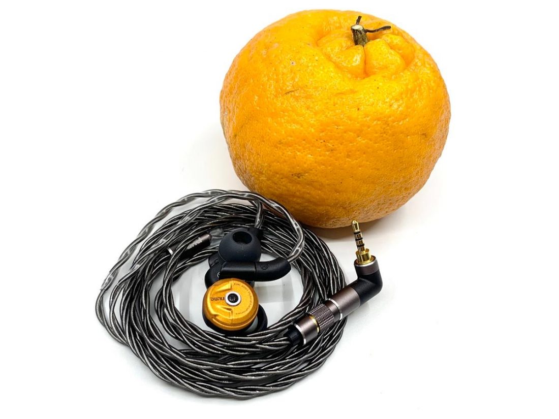 DK-2001 with mandarin orange