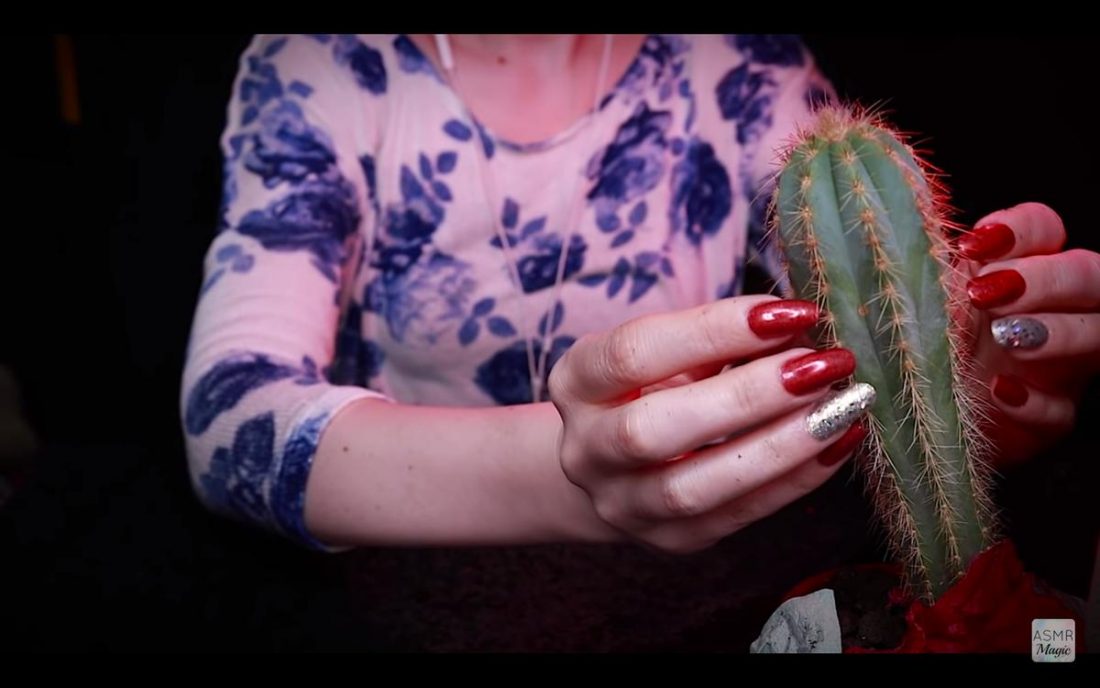ASMR Magic's video of crisp sounds, including a unique cactus that sounds like water (From YouTube.com)