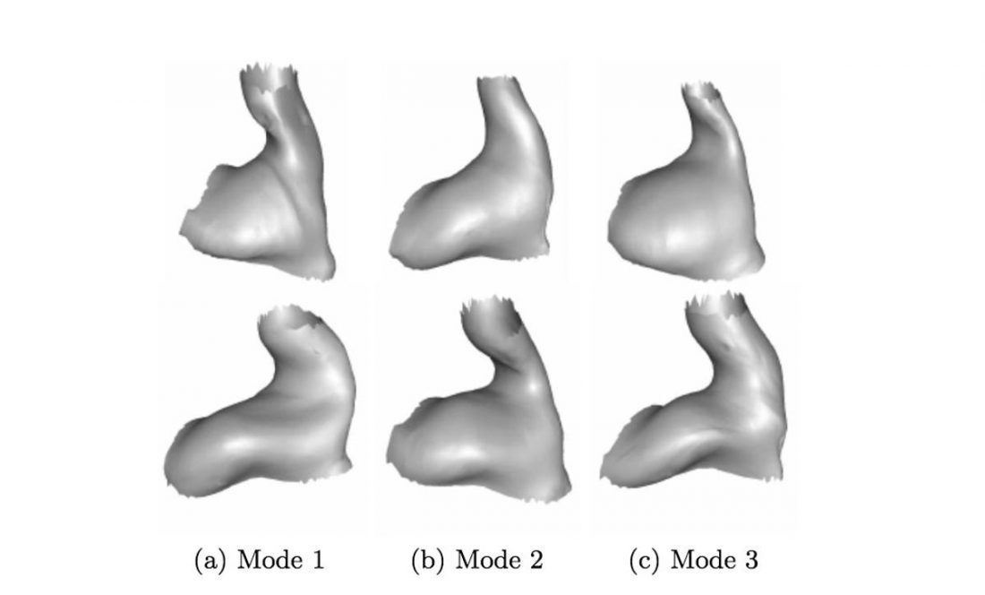 Statistical 3D shape models of the human ear canal. (From www.researchgate.net)