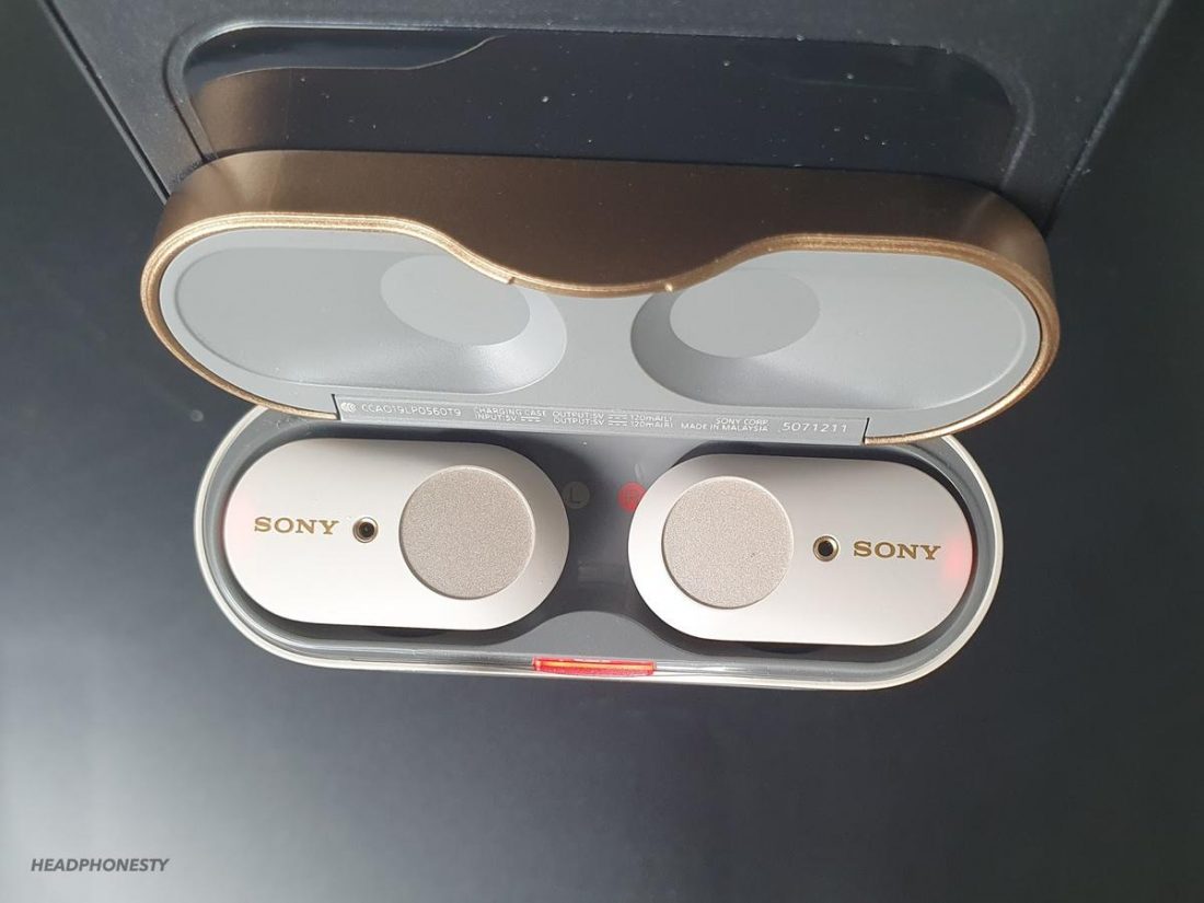 The earbuds resting inside the case.