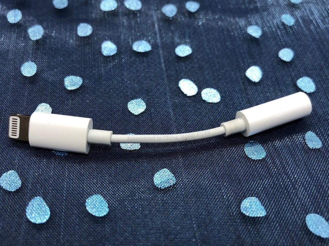 The inexpensive Apple lightning to 3.5mm audio dongle. Model A1749.