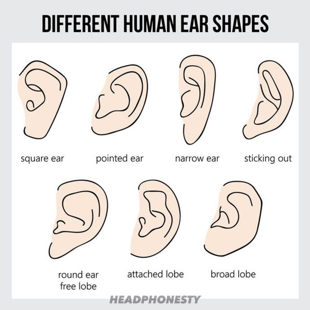 Ear Size Chart Over 1 Inch