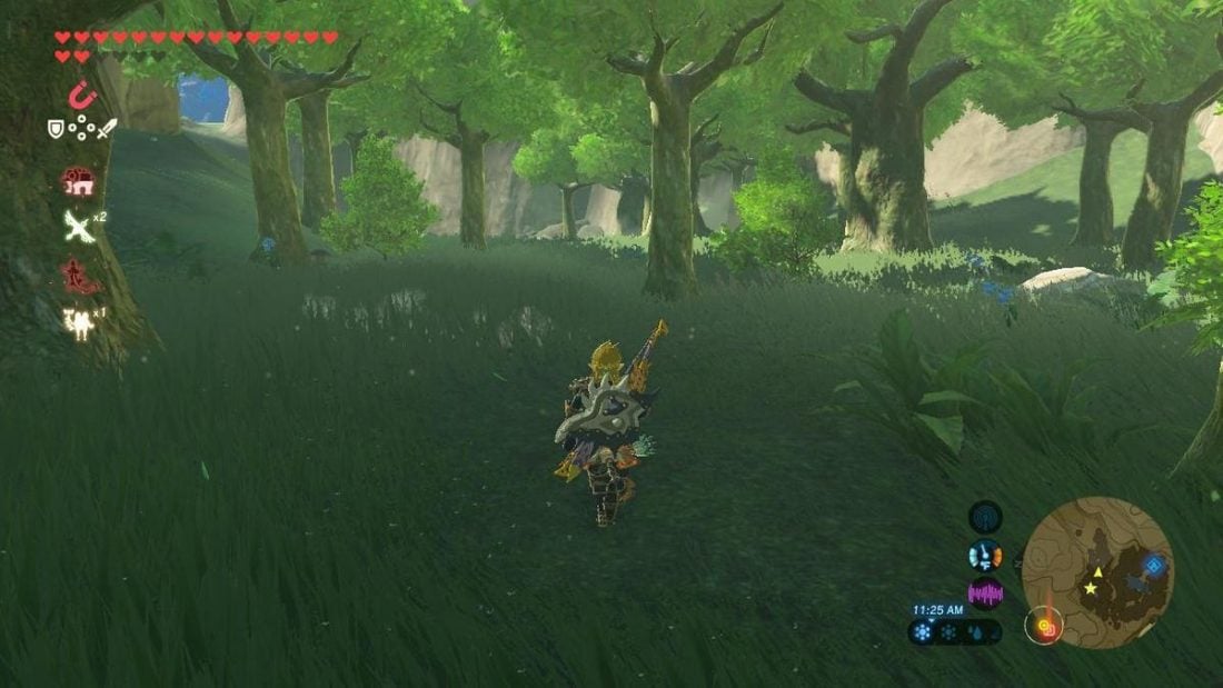 Another screenshot of Legend of Zelda: Breath of the Wild gameplay