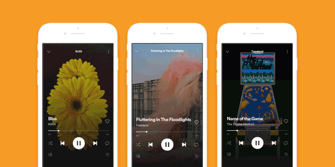 Spotify Canvas (From:Spotify).