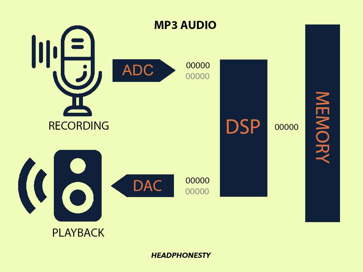 A diagram showing where a DSP falls in an audio signal chain.
