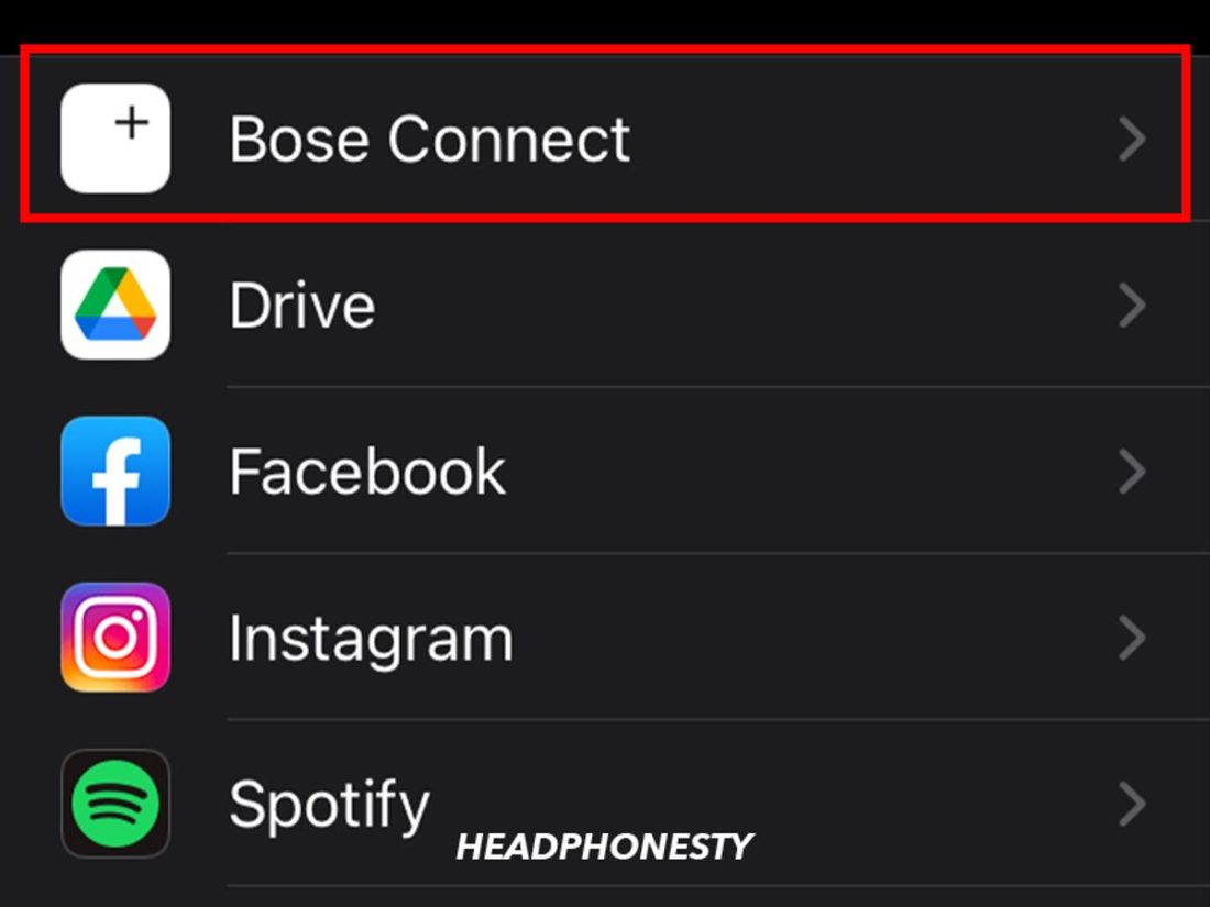 Bose Connect option
