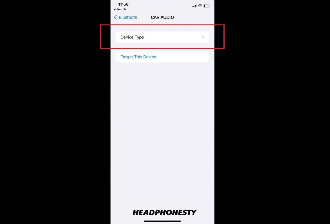 Device Type Bluetooth Settings on iOS