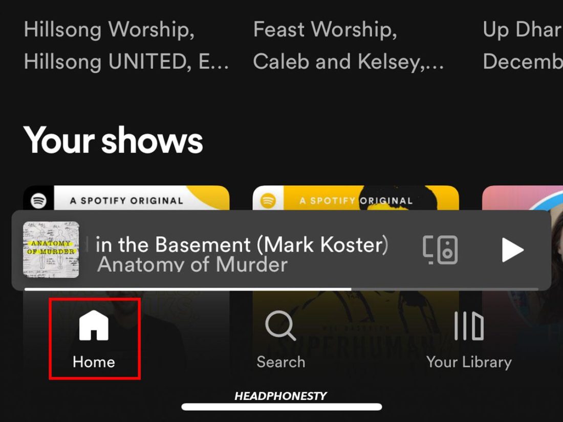 Spotify iOS Home