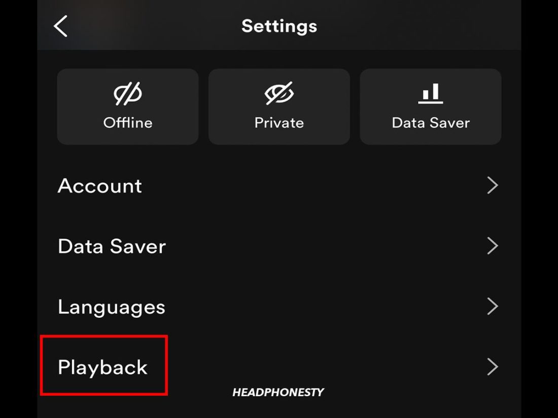 Spotify iOS Playback settings