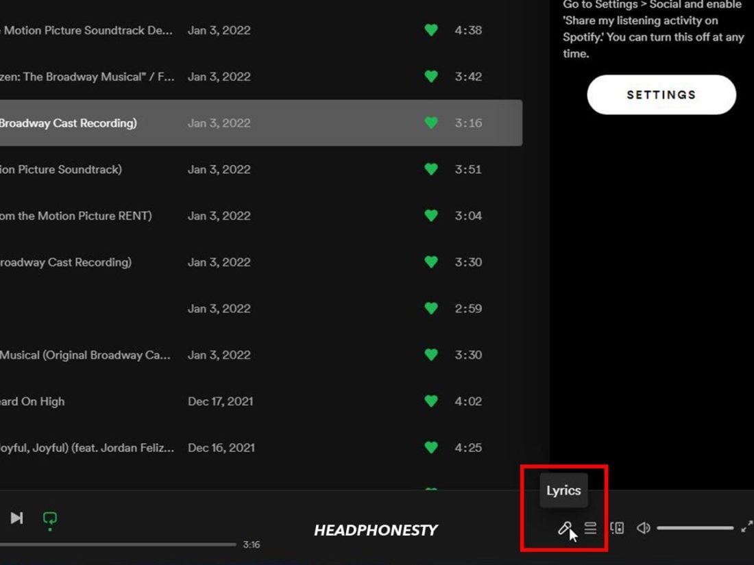 Mic icon on Spotify Desktop app