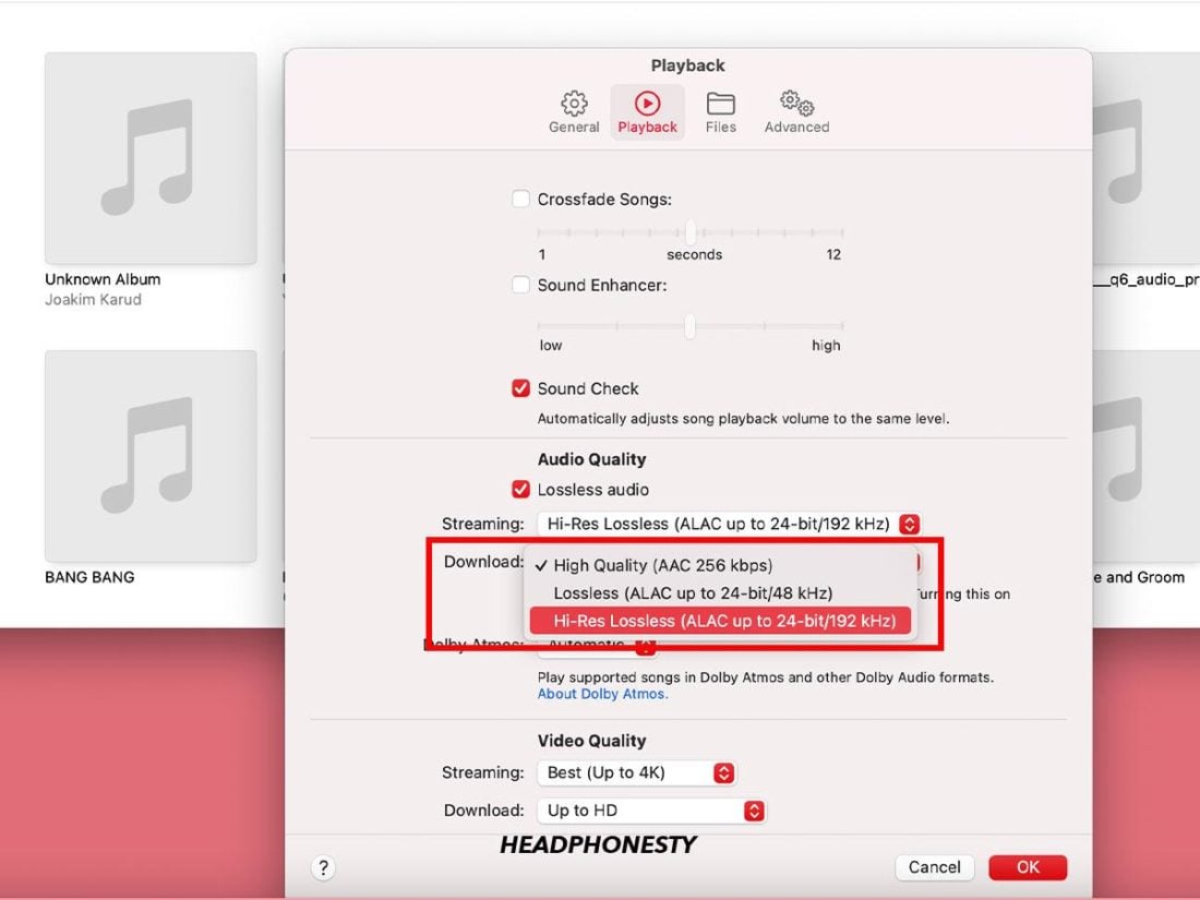 Setting Download Audio Quality on Mac