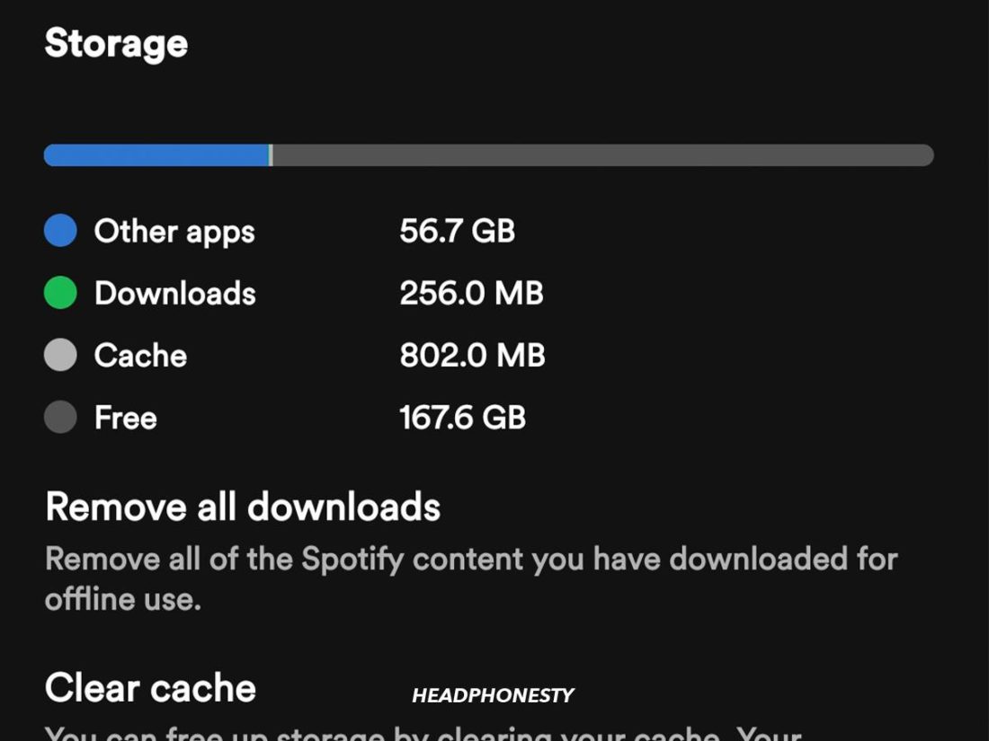 Spotify Storage settings