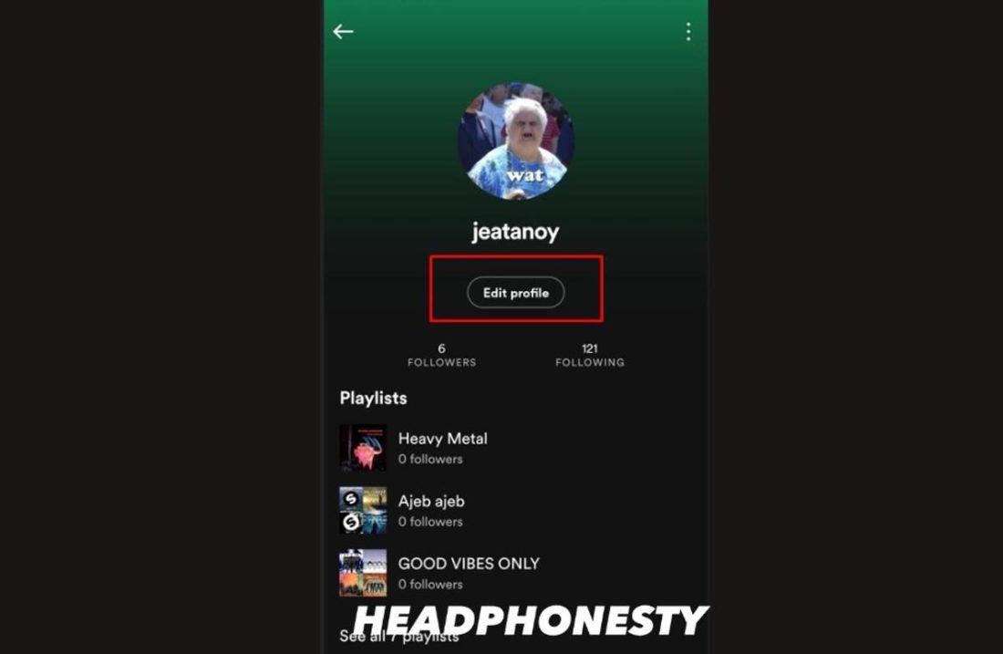 How to Change Spotify Display Name on Mobile - go to edit profile