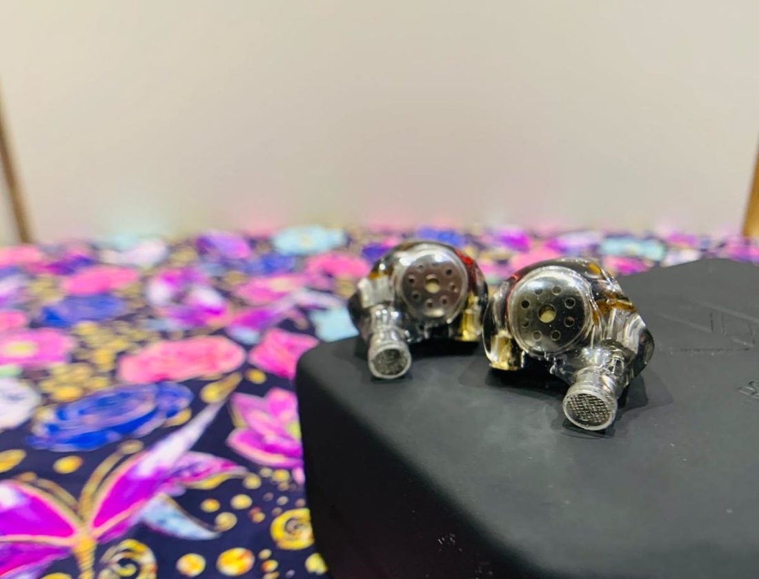Look at this pair via rose-tinted spectacles! The inner aspect of the shells are transparent and allow one to visualize the drivers of the QT9 MK2S.