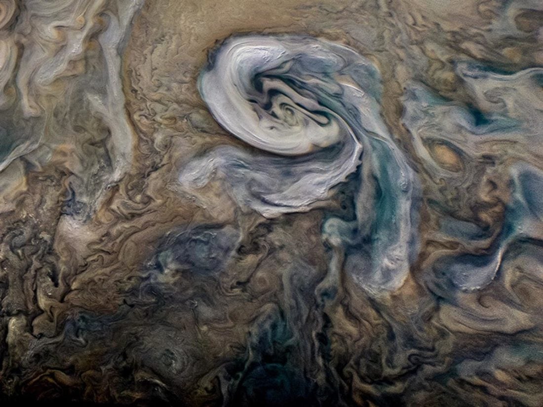 The burl pattern reminds me of the distinctive storms on Jupiter. (From: NASA/JPL-Caltech/SwRI/MSSS/Kevin M. Gill)