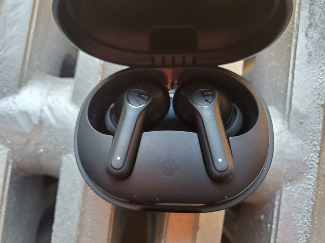 A closer look at what the earbuds look like in their case.