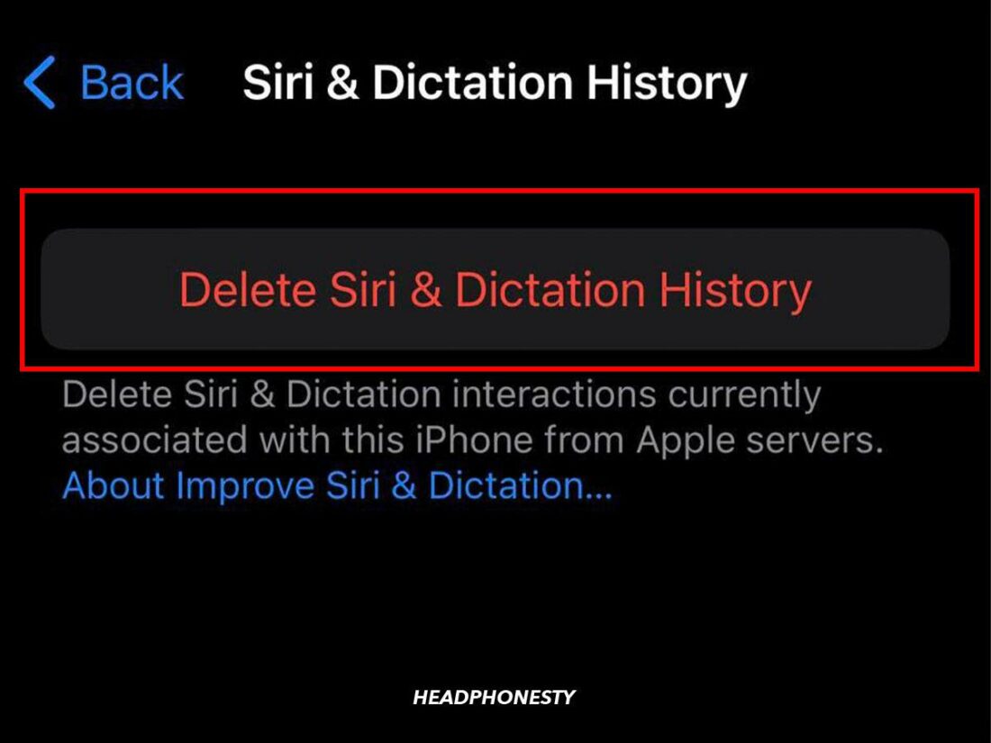 Delete Siri & Dictation History.