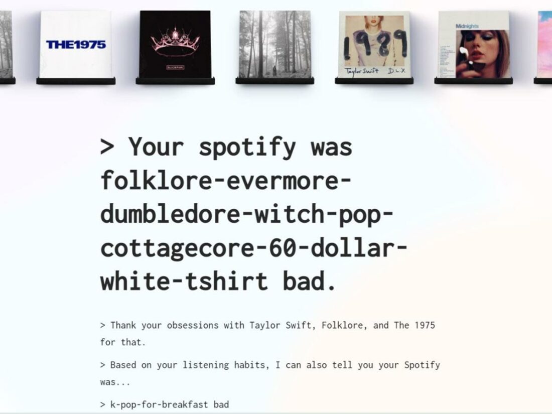 An example of Pudding.cool's AI's judgment on a user's music taste.