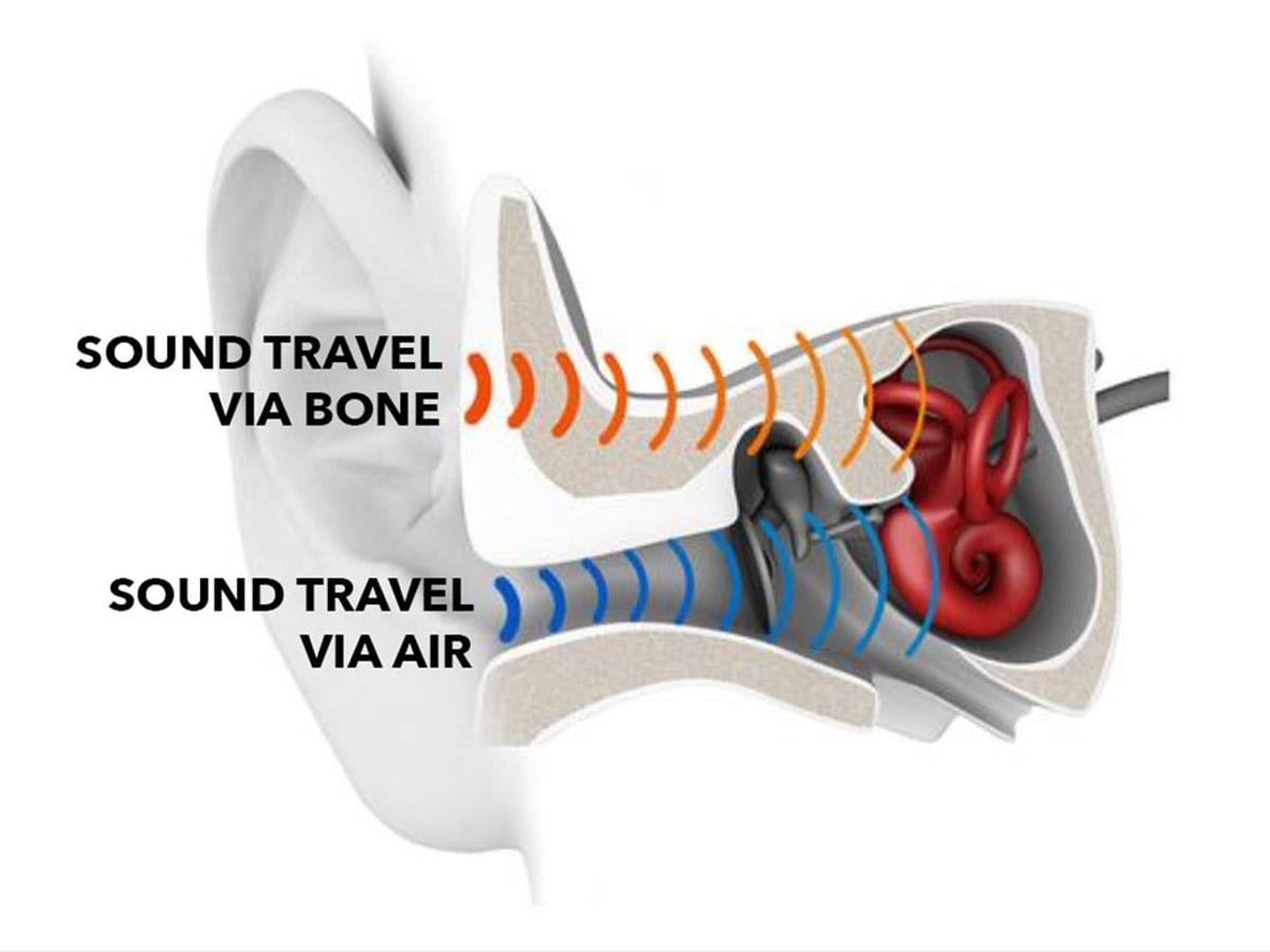 How bone conduction works (From: IPSNews) 