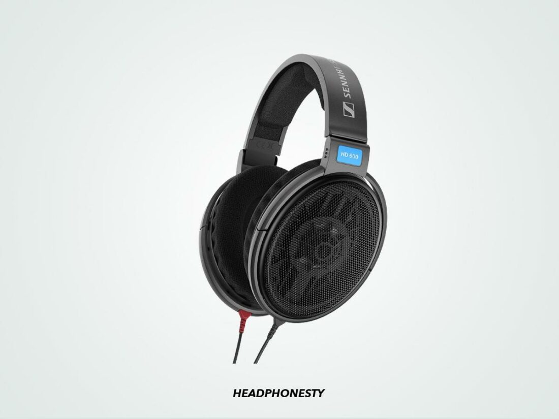 Close look at the Sennheiser HD 600 (From: Amazon)