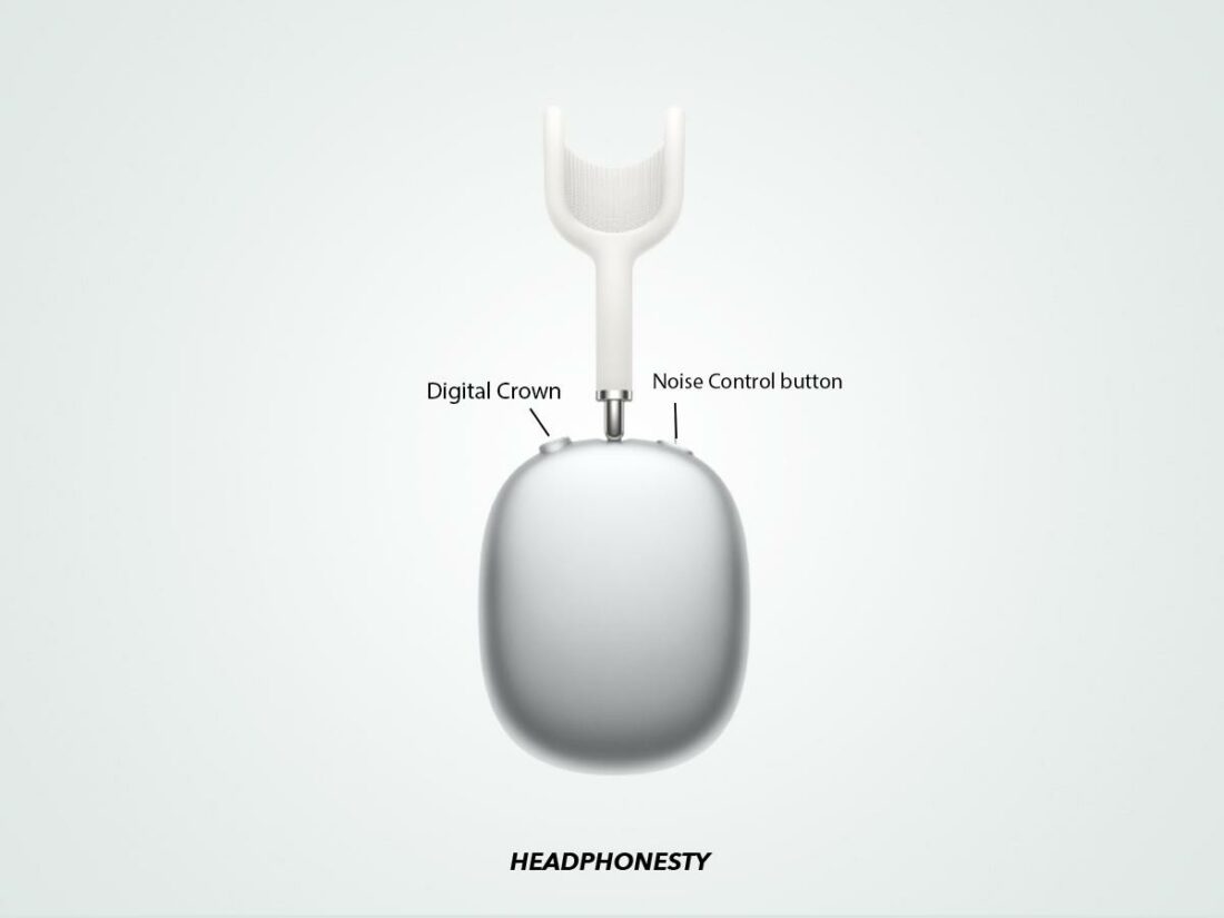 Locating the digital crown and noise control button of AirPods Max