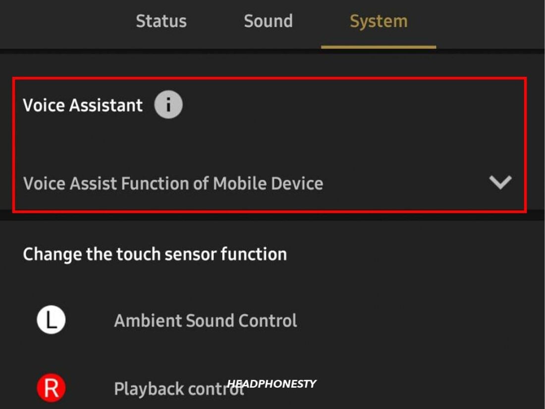 Voice assistant option