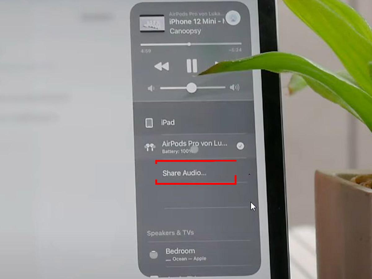 Starting Share Audio option (From: Youtube/Foxtecc)