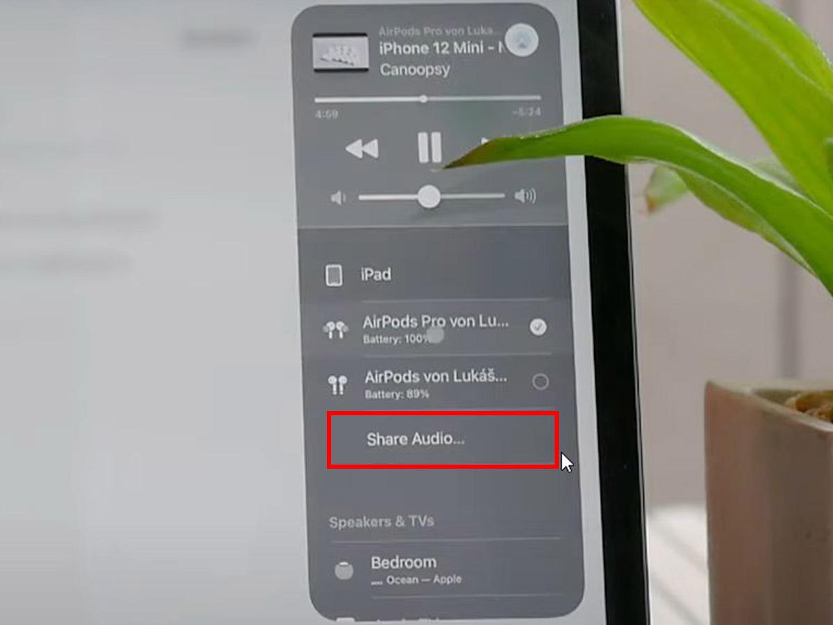 Share Audio option (From: Youtube/Foxtecc)