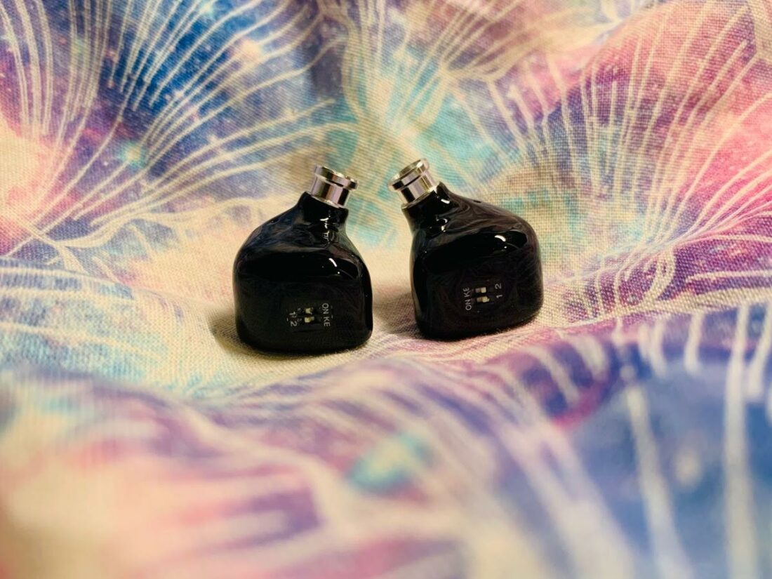 Not many budget IEMs incorporate tuning switches.