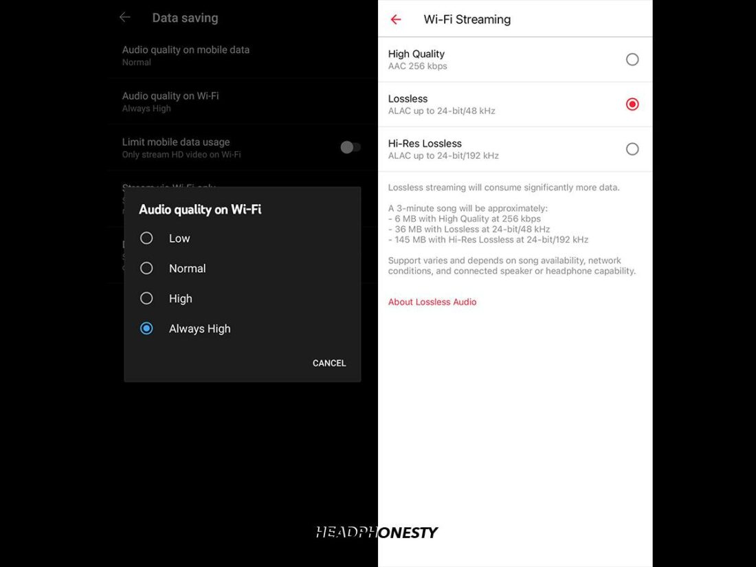 Audio quality settings on YouTube Music and Apple Music.