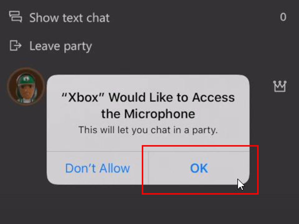Allowing microphone access. (From: Youtube/Galactic Grizzly)
