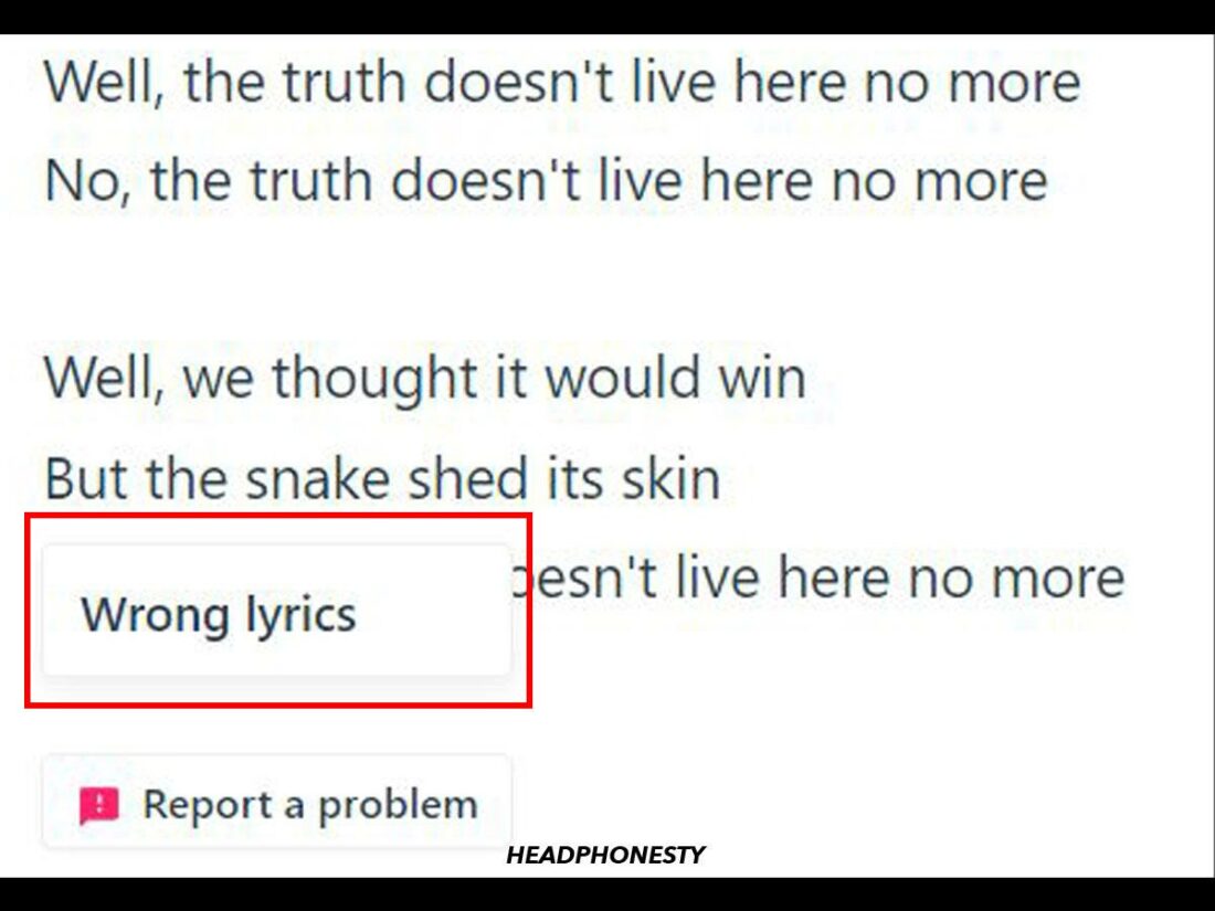 A 'Wrong lyrics' button will appear.