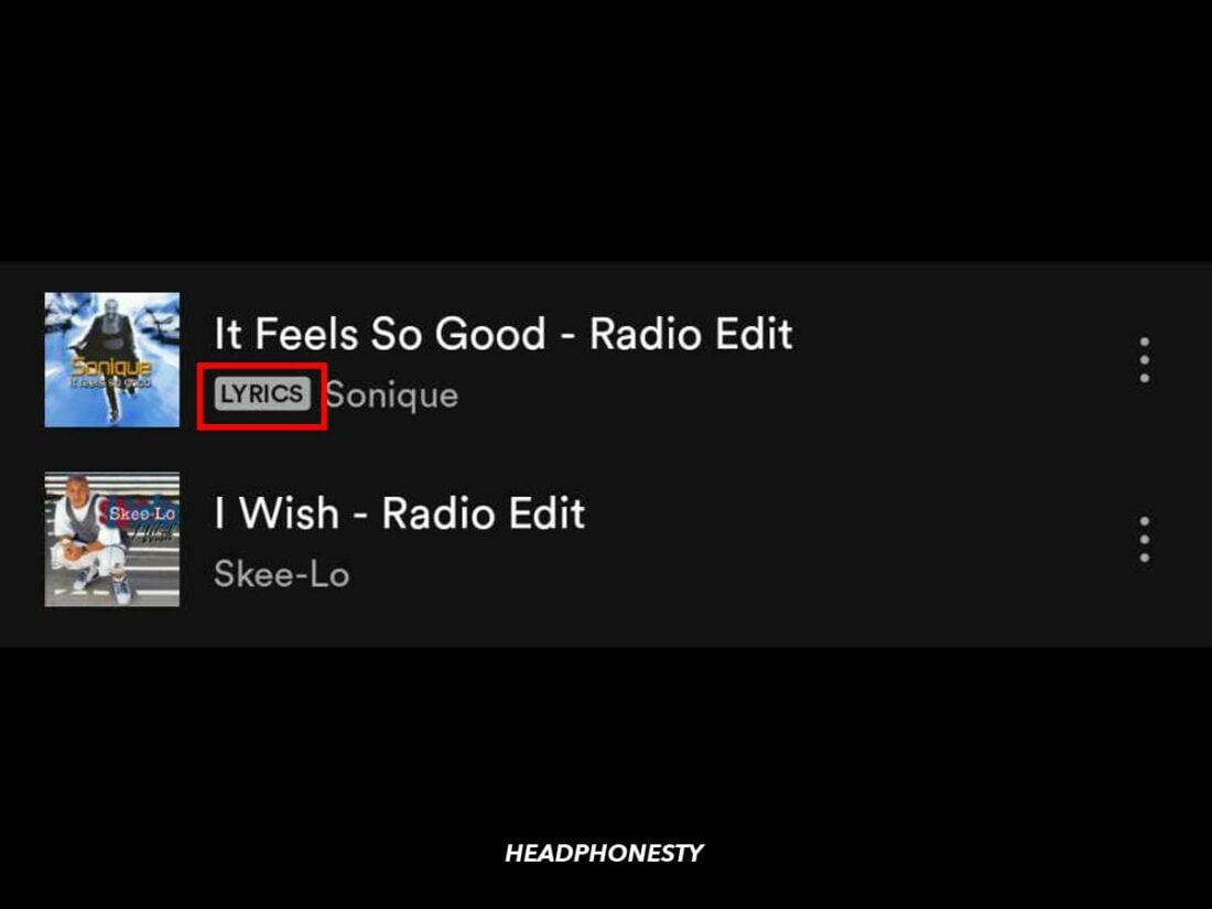 Songs with available lyrics have a 'Lyrics' label on Spotify.