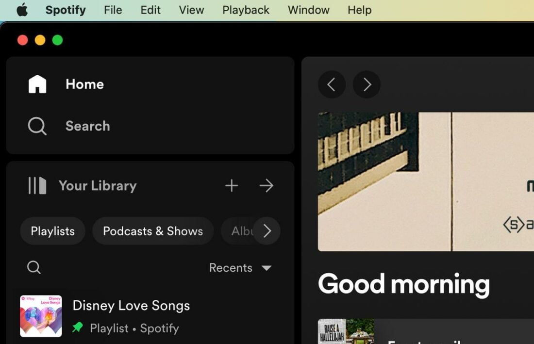 Spotify sidebar navigation and content filters.