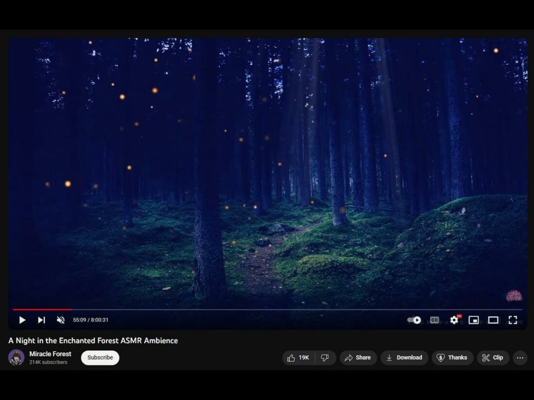A Night in the Enchanted Forest by Miracle Forest. (From: Youtube/Miracle Forest)