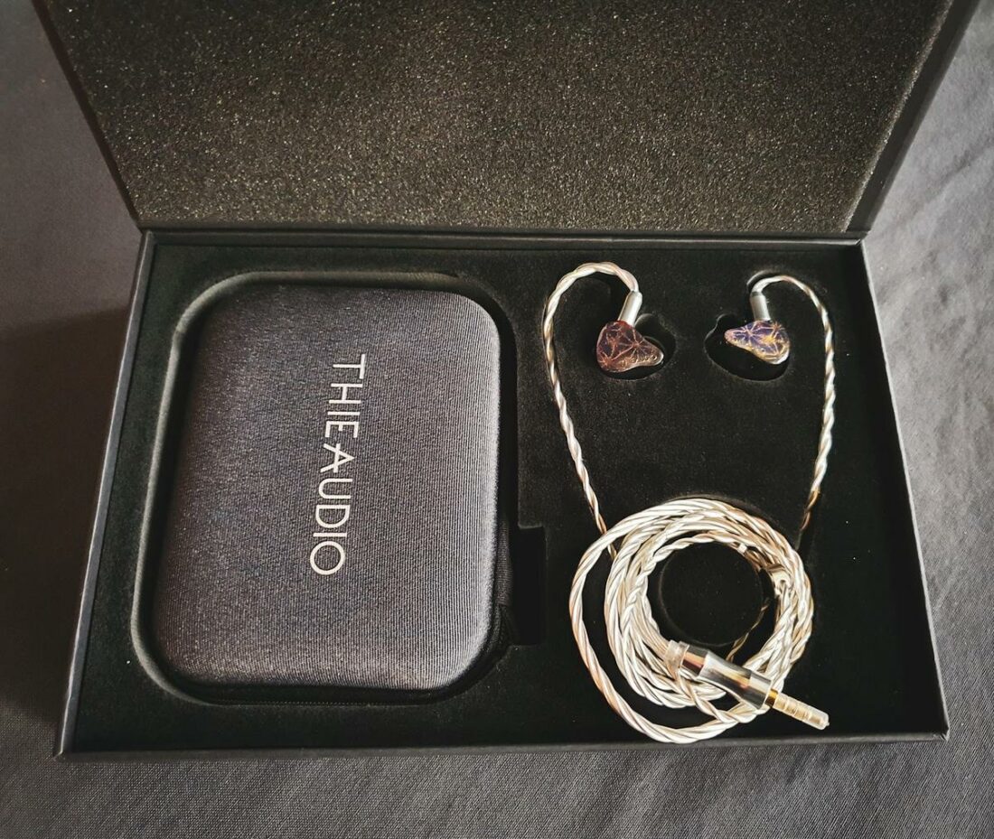 The inside of the box is well-designed and immediately displays the IEMs on first opening.