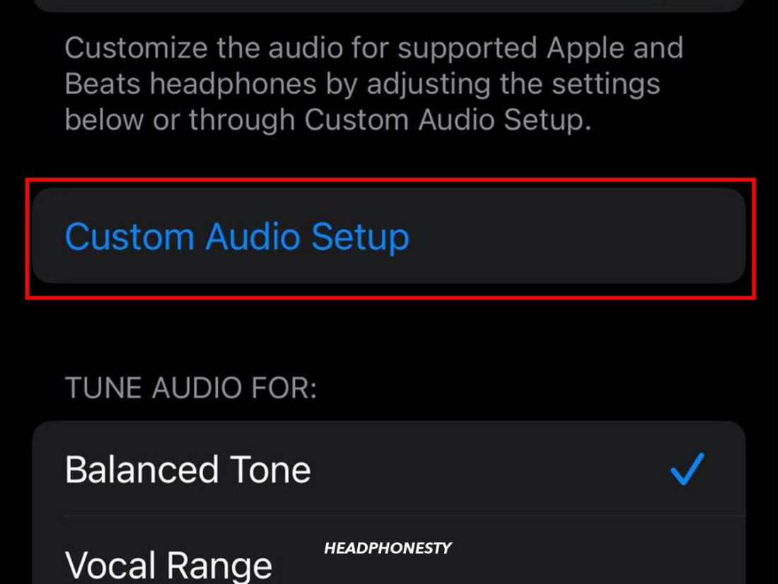 Select Custom Audio Setup.