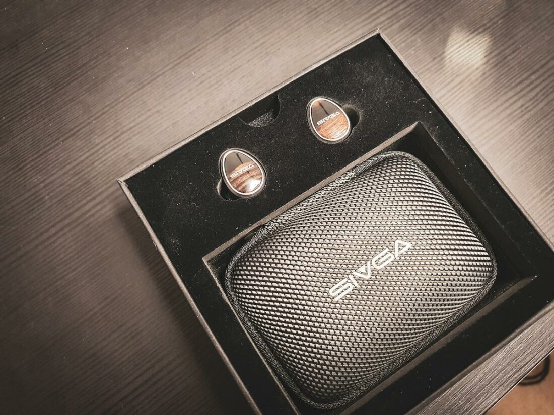 Things are simple inside the box - just two IEMs and the carrying case with the rest inside.
