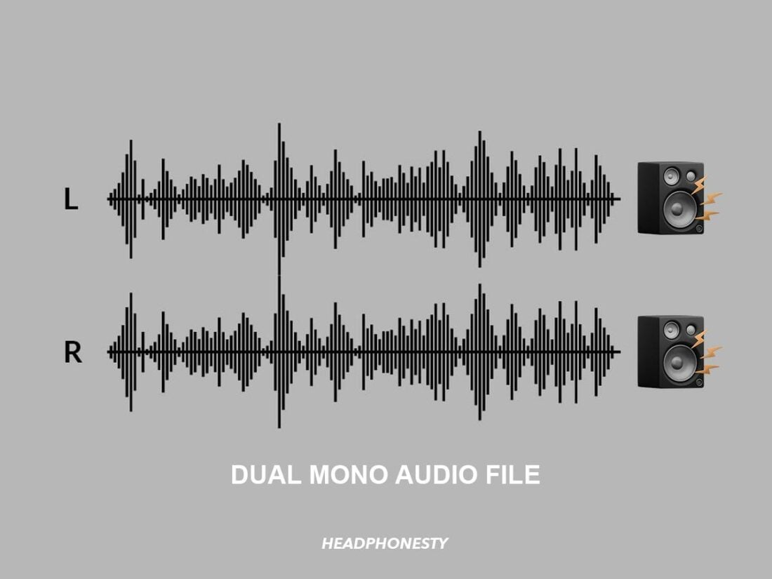 Dual mono audio waveform.