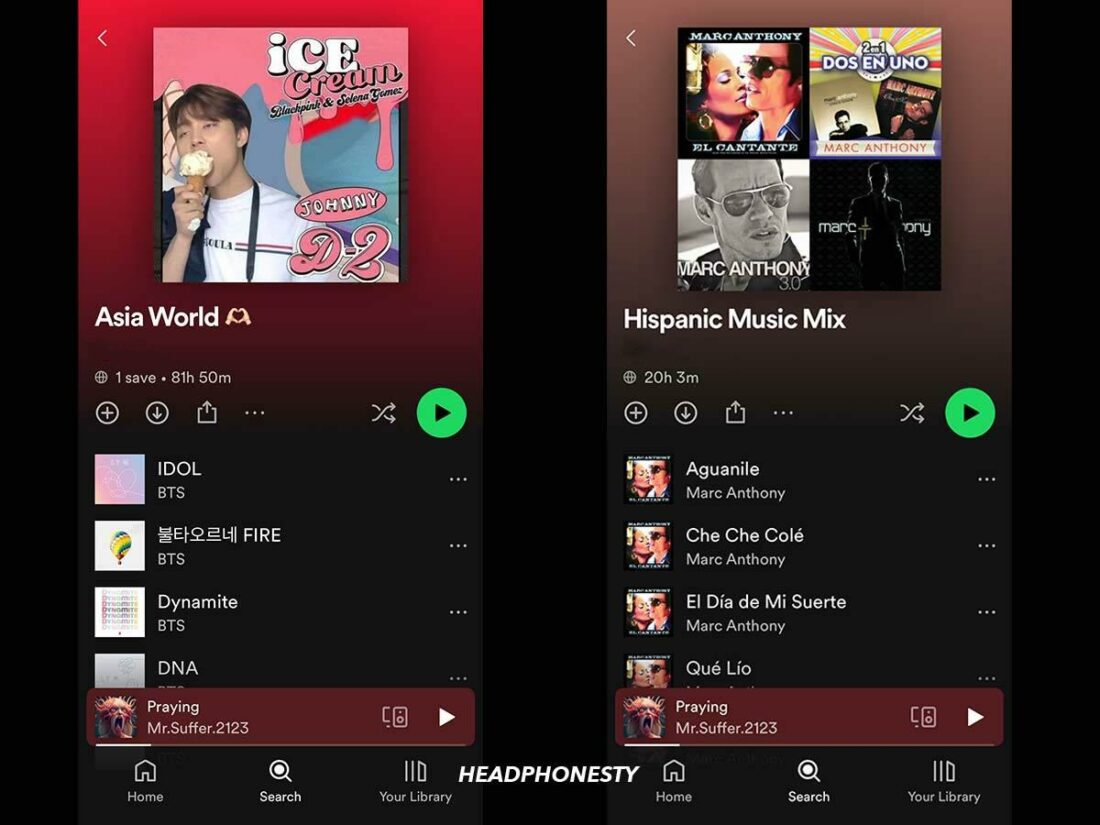 Playlists named as Asia World and Hispanic Music Mix