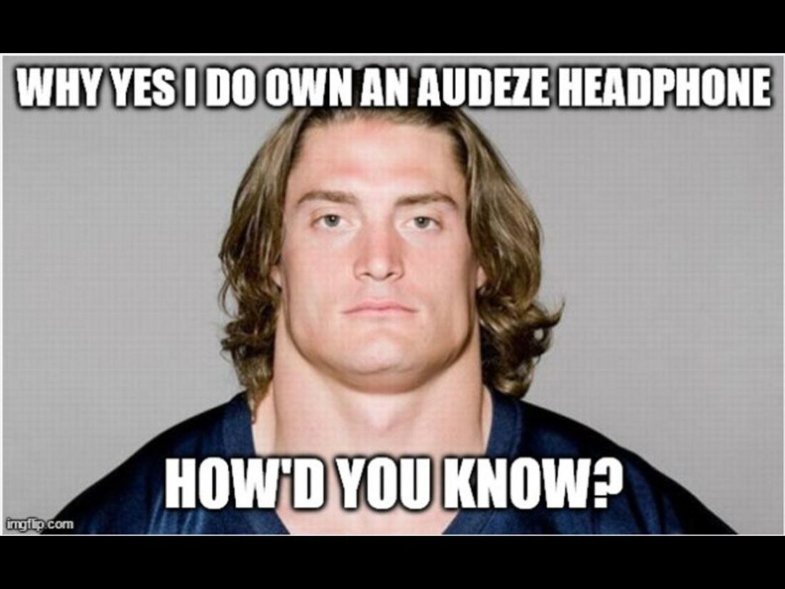 Audeze headphone owners be like... (From: Reddit)