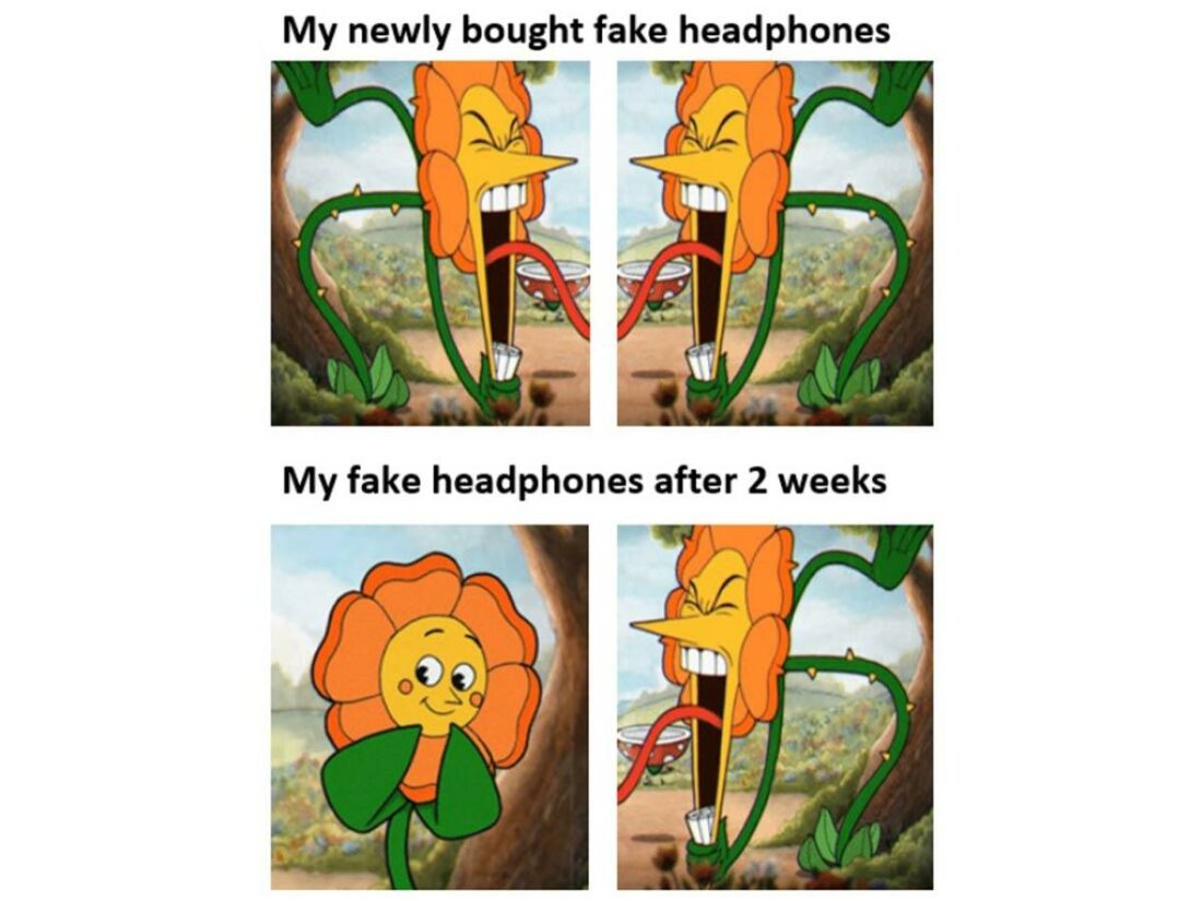 Fake headphones. (From: Reddit)