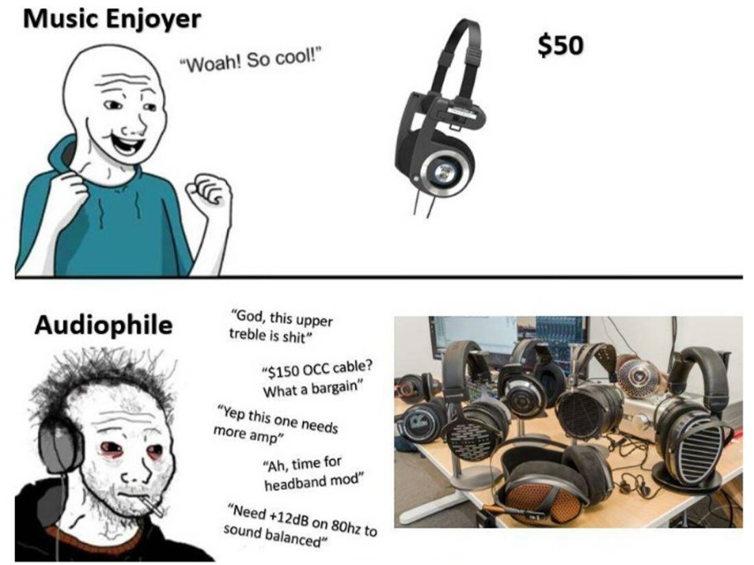 Music enjoyer vs. Audiophile (From: Reddit)