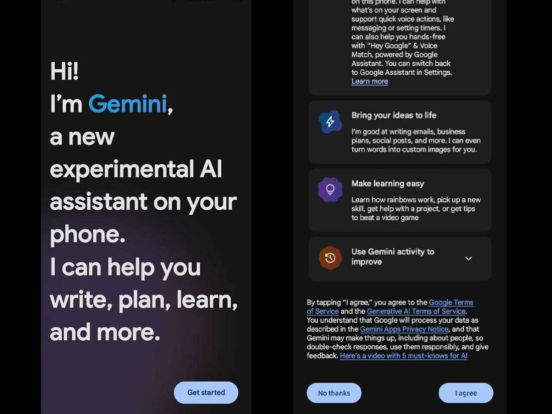 Gemini App's opening screen, detailing what it can do.