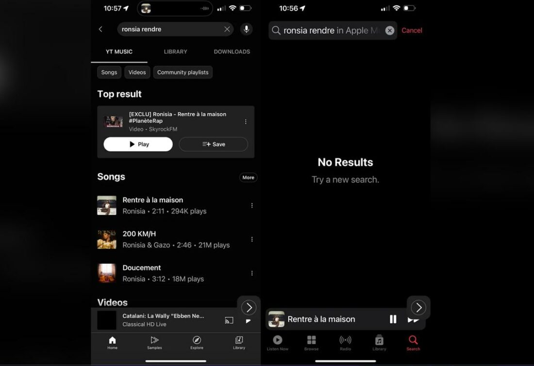 The OP's screenshot of the search result on YouTube Music and Apple Music (From: Reddit)