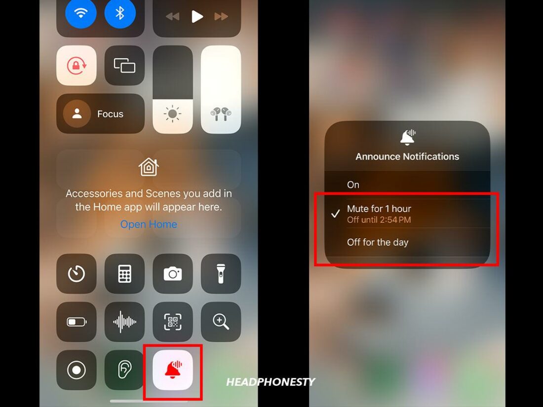 You can also turn off Announce Notification from the Control Center.