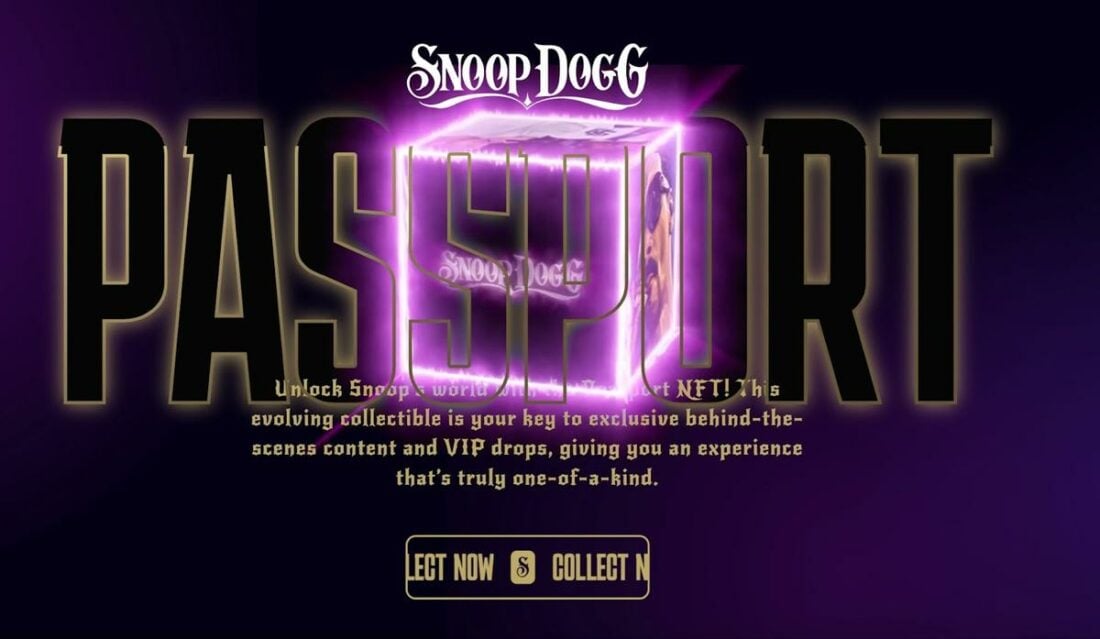 Snoop Dogg's Passport Series NFT released in 2023. (From: Snoop Dogg) https://www.snooppassport.xyz/